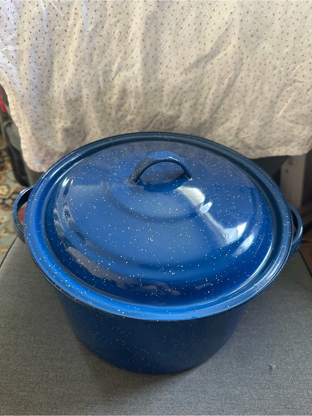 6Qt Blue Enamel Stock Pot with Lid | Perfect for Family Feasts | camping | soup
